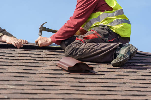 Best Roof Waterproofing Services  in Novi, MI