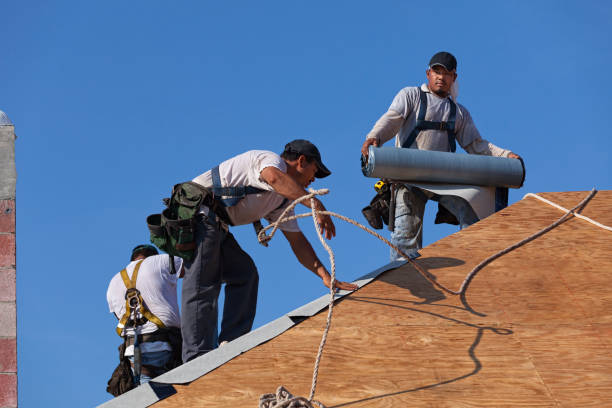 Best Emergency Roof Repair  in Novi, MI