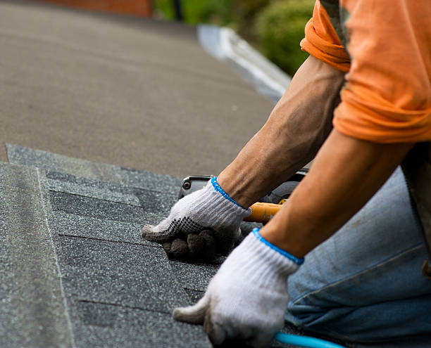 Roof Gutter Cleaning in Novi, MI