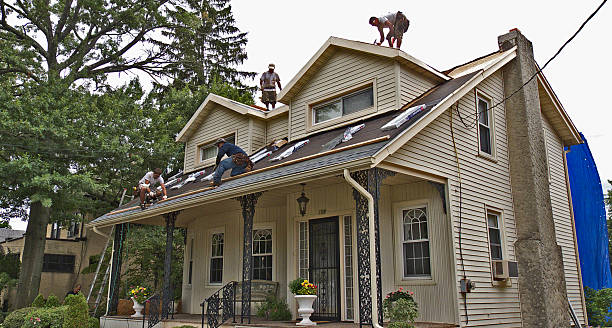 Best Residential Roofing Contractor  in Novi, MI